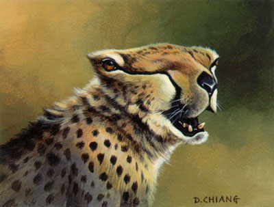Cheetah Creature