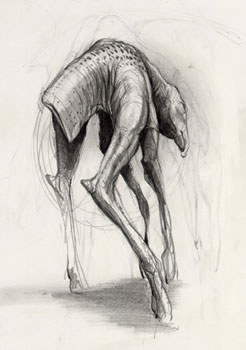 Creature Sketch 2
