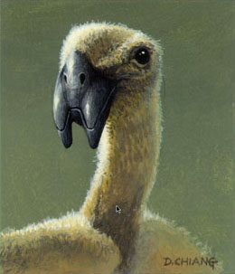 Bird Creature